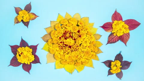 Autumn greeting card. Stock Footage 310375054
