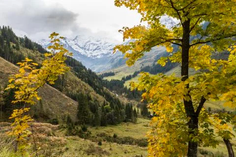 Autumn at the Grossglockner Stock Photos