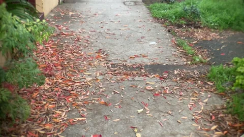 Autumn ground Stock Footage 144375537