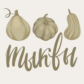 Autumn hand drawn lettering vector set with pumpkins. Fall and halloween deco Stock Illustration