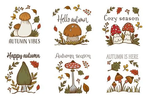 Autumn hand drawn lettering vector set. Fall season handwritten slogan stickers Illustrazione stock