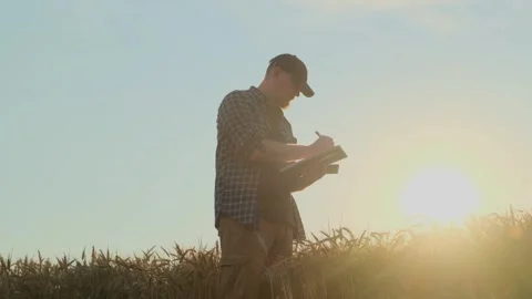 Autumn harvest concept. Stock Footage 337889849