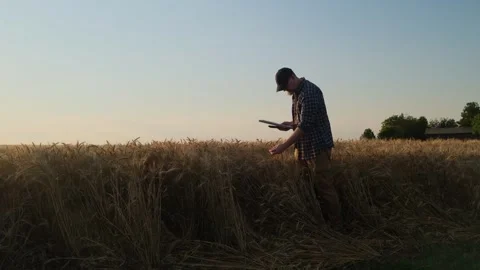 Autumn harvest concept. Stock Footage 337889925