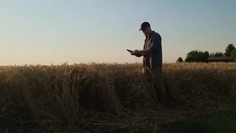 Autumn harvest concept. Stock Footage 339672614