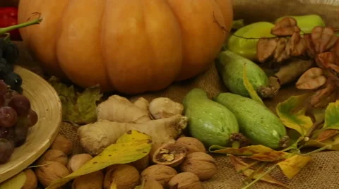 Autumn Harvest Stock Footage 54770295