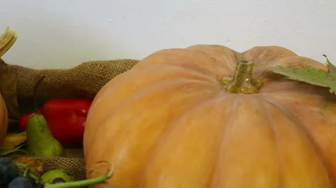 Autumn Harvest Stock Footage 55515019