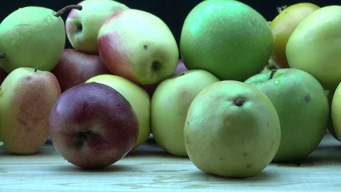 Autumn harvest 스톡 동영상 82346383
