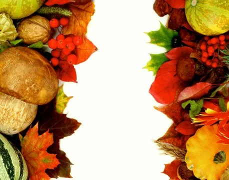 Autumn Harvest Frames Stock Photos