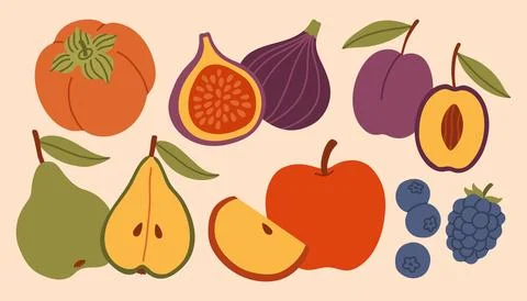 Autumn harvest fruit vector set featuring apple, pear, fig, plum, persimmon Stock Illustration