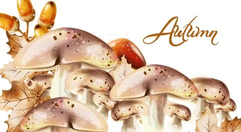 Autumn harvest pattern Vector. Fall muchrooms and fruits decor posters Stock Illustration