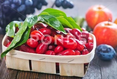Autumn harvest on the wooden table, autumn fruits Stock Photos