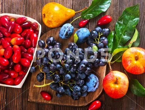 Autumn harvest on the wooden table, autumn fruits Stock Photos