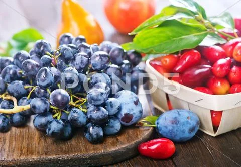 Autumn harvest on the wooden table, autumn fruits Stock Photos