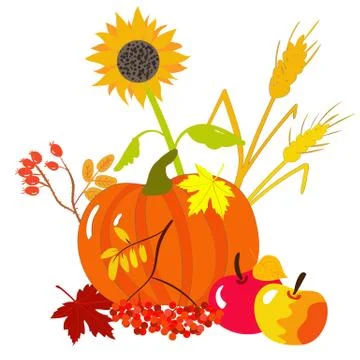 Autumn harvests Stock Illustration