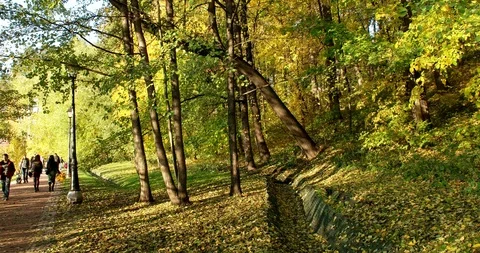 Autumn has come Stock Footage 96683119