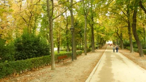 Autumn has come Stock Photos