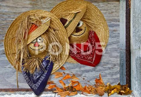 Autumn hats Stock Photos