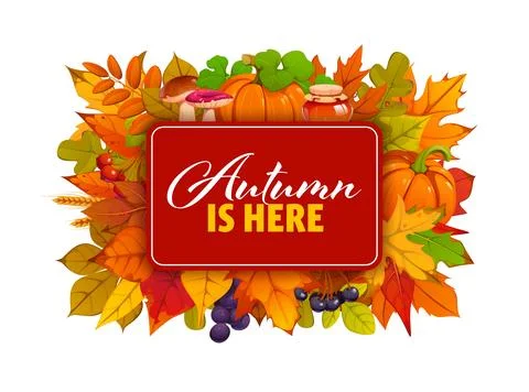 Autumn is here signboard framed by pumpkins Stock Illustration