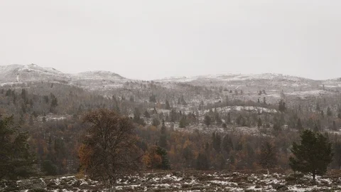 Autumn in the highland with first snow Vídeo Stock 118143353