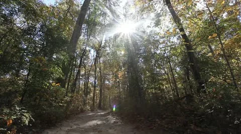 Autumn hike Video stock 22174960