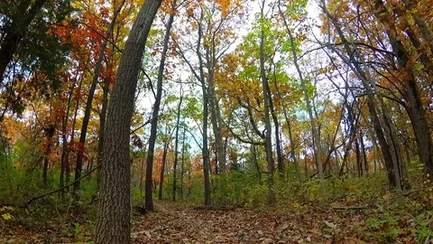 Autumn Hike Stock Footage 98909564