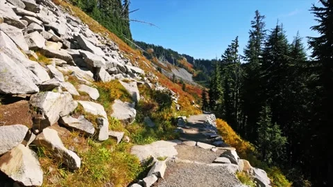 Autumn Hike on the Reflection Lakes Trail in Mount Rainier National Park, Washin Stock Footage 332138986