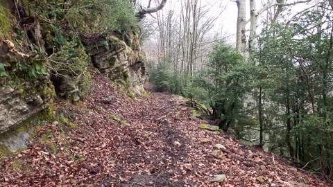 Autumn hike on a trail Stock Footage 154513832