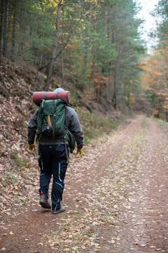 Autumn Hiking: Backpacker in a Forest Path Stock Photos