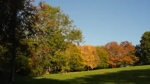 Autumn Hills Stock Footage 289226857