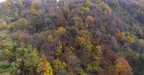 Autumn on the Hillside Stock Footage 97739343