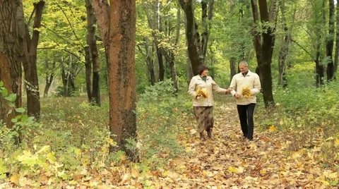 Autumn Holidays Stock Footage 52396191