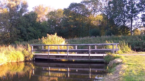 Autumn in Holland. Stock Footage 34503442