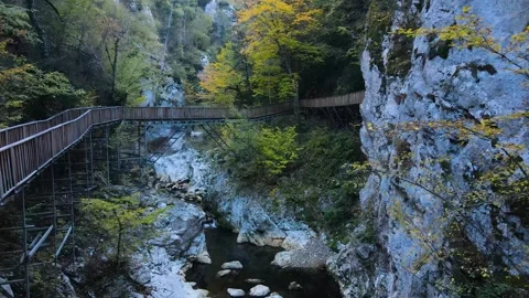 Autumn In Horma Canyon Stock-Footage 333048346