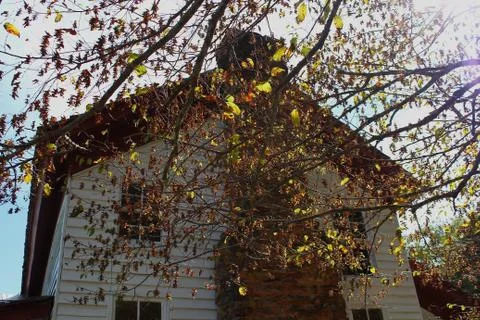 Autumn House Stock Photos