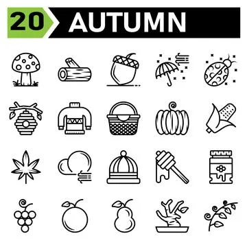 Autumn icon set include mushroom fall plant lumber piece of wood trunk chestn Stock Illustration