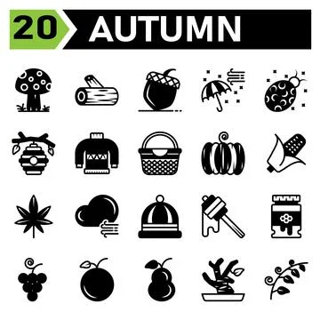 Autumn icon set include mushroom fall plant lumber piece of wood trunk chestn Illustrazione stock