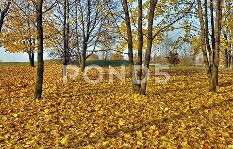 Autumn idyllic wallpaper Stock Photos