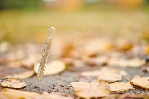 Autumn illness concept. Stock Photos