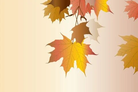Autumn Stock Illustration