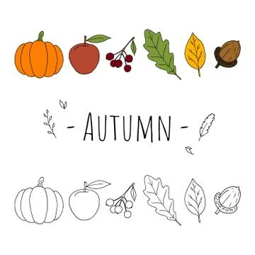Autumn illustrations. Vector. Isolated objects on white. Hand-drawn. Stock Illustration