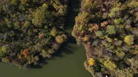 Autumn island Stock Footage 290006697