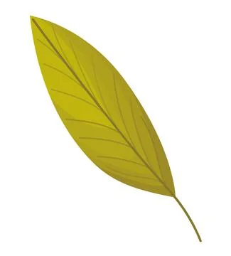 Autumn jagged leaf Stock Illustration