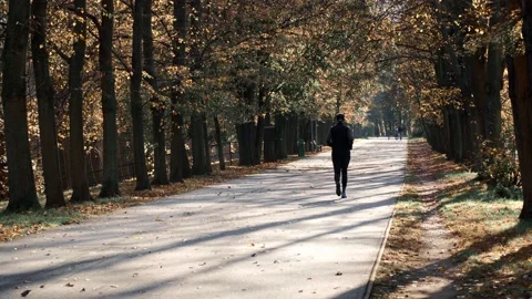 An autumn jogger. Stock Footage 151595172