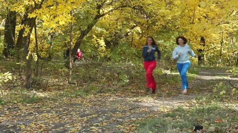 Autumn jogging in the park Stock Footage 48902917