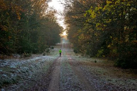 Autumn jogging through the forest Foto stock