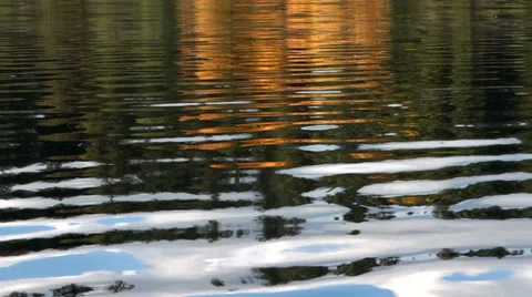 Autumn Lake and Forest - 03 - Close Stock Footage