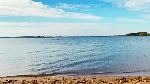 Autumn Lake Beach Stock Footage 162315938