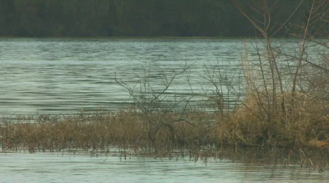 Autumn lake Stock Footage 840636