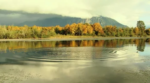 Autumn Lake Stock Footage 8917919