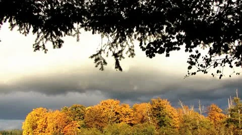 Autumn Lake Stock Footage 8917988